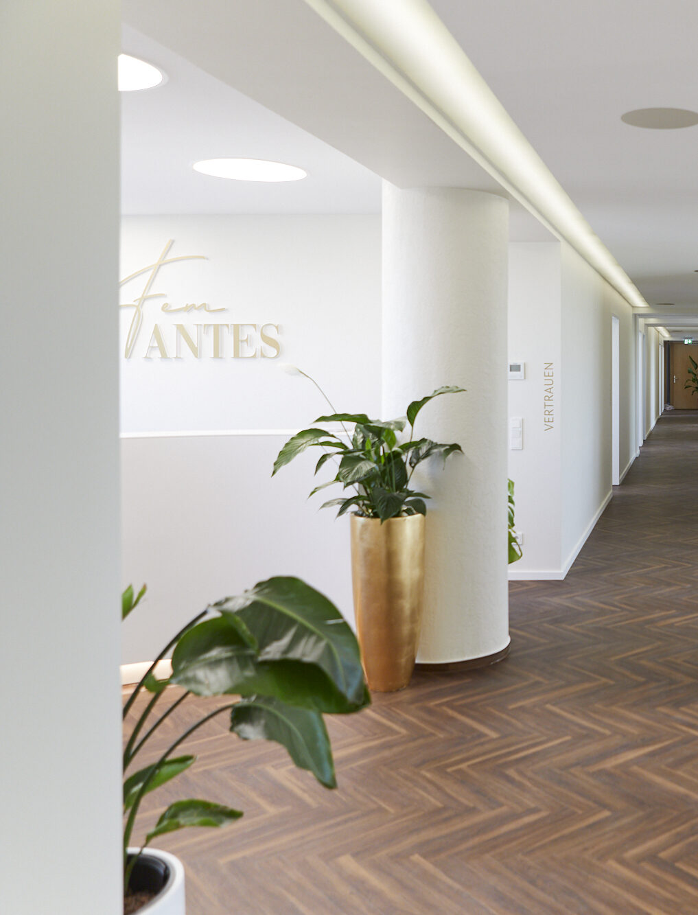 _2025-04-06_FemANTES_M3A2789_low-res